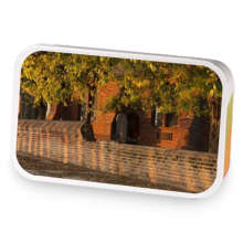 Lady Berkeley sample blend