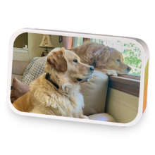 Peach Pie Perch sample blend