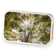Mega Trees sample blend