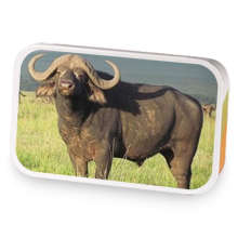 African Buffalo sample blend