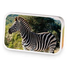 Zebra sample blend