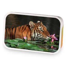 Bengal tiger sample blend