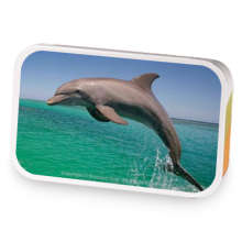 bottlenose dolphin sample blend