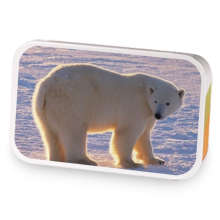 polar bear sample blend
