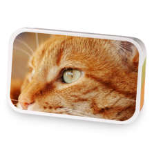 Orange Cat Blend sample blend