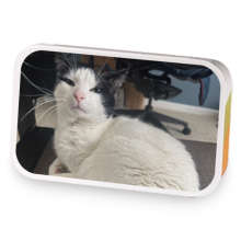 Manic Pixie Dream 13 sample blend