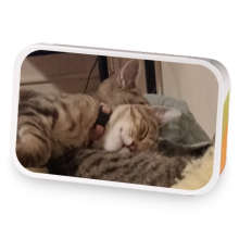 Kitty Adara sample blend