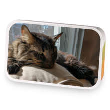 Thinking Cat sample blend
