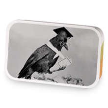 Scholars Delight sample blend