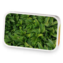 Lazy Days in Fruity Fields sample blend