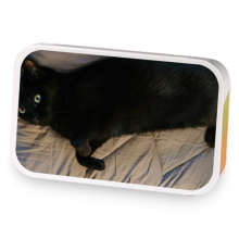 The Spelunker - Riko sample blend