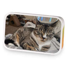 Goddess of War - Sekhmet sample blend