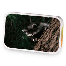 Winged Thief: Decadence sample blend