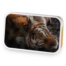 Golden Tiger Spice sample blend