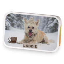 Laddie the Snow Baby sample blend