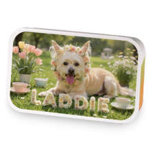 Laddie in the Spring sample blend