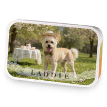 Laddie's Tea Party sample blend