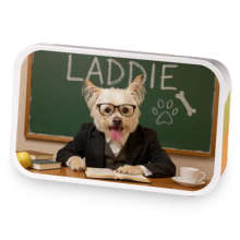 Laddie at Work sample blend