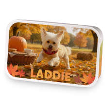 Laddie Loves Leaves sample blend