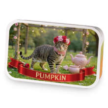 Sweetheart Pumpkin sample blend