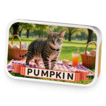 Picnic with Pumpkin sample blend