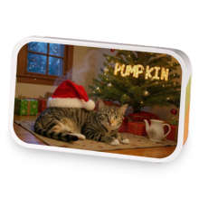 Pumpkin's Happy Holiday sample blend