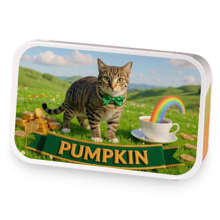 Dia duit ó Pumpkin sample blend