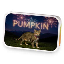 Pumpkin's Liberty Lapsang sample blend