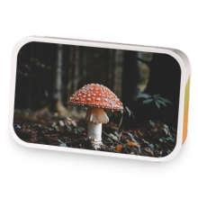 Grey Autumn sample blend