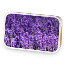Lavender vanilla fields  sample blend