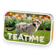 Teatime in Spring sample blend