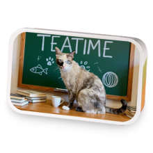 Class with Teatime sample blend