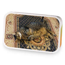 The Sassy Cat sample blend