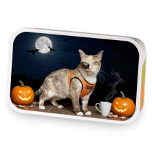 Teatime Pumpkin Spice sample blend