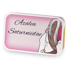 Azalea Saturniidae sample blend
