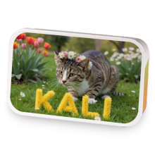 Blooming Whiskers sample blend