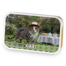 Petal Purr Grey sample blend