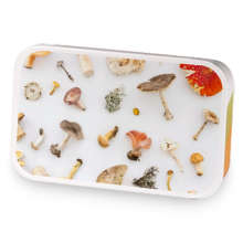 Tek-tonics sample blend