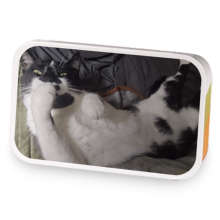 Kitty Giggles sample blend
