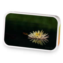 Sherrys Orange Cardamom sample blend