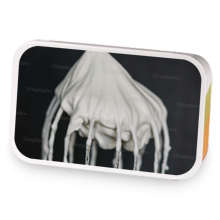 Cinnamon Hojicha Chocolate sample blend