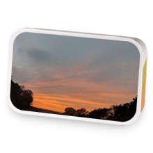 Rage Ease Mk 2 sample blend