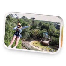 brandiiiiis blend sample blend