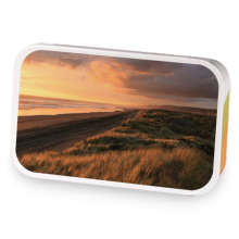 Minty rooibos sample blend