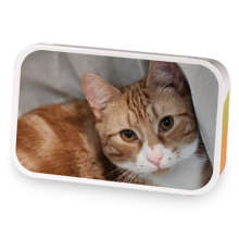 No Thoughts sample blend