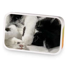 Me day! sample blend