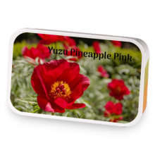 Yuzu Pineapple Pink sample blend