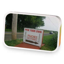 Foggy Afternoon  sample blend