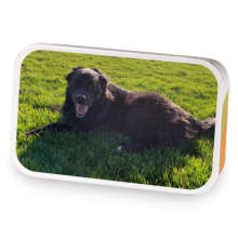 Deirdres Rasp Rapture sample blend