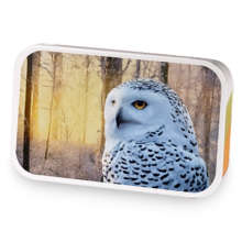 Snow Owl Beauty sample blend